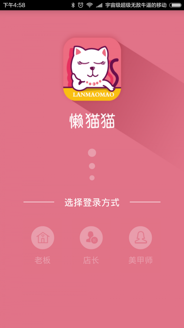 懒猫猫