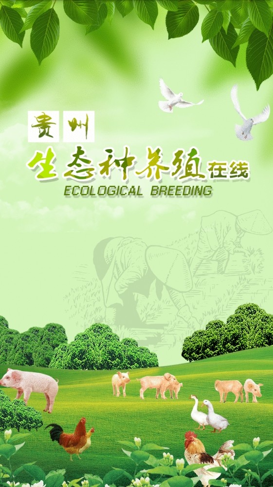 贵州生态种养殖在线