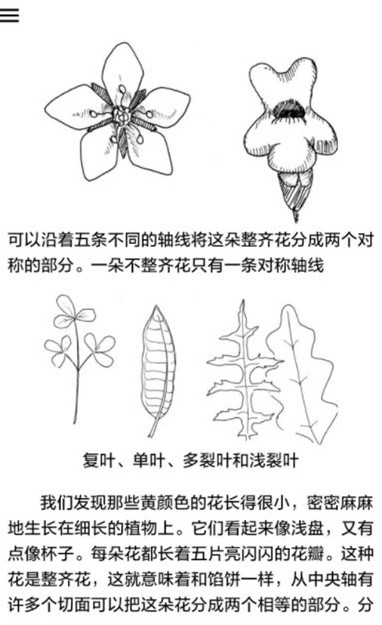 植物识别