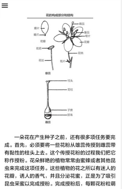 植物识别