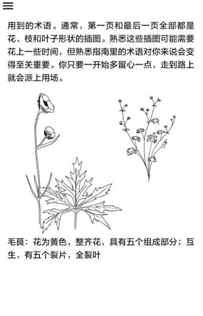 植物识别