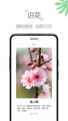 养花宝典