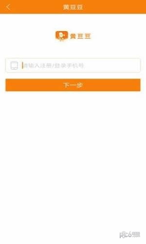 黄豆豆