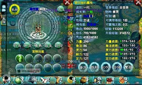 忘仙灵尊加哪些属性可以提高综合实力