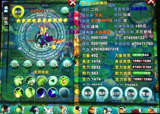 忘仙金蛇宝宝怎么的