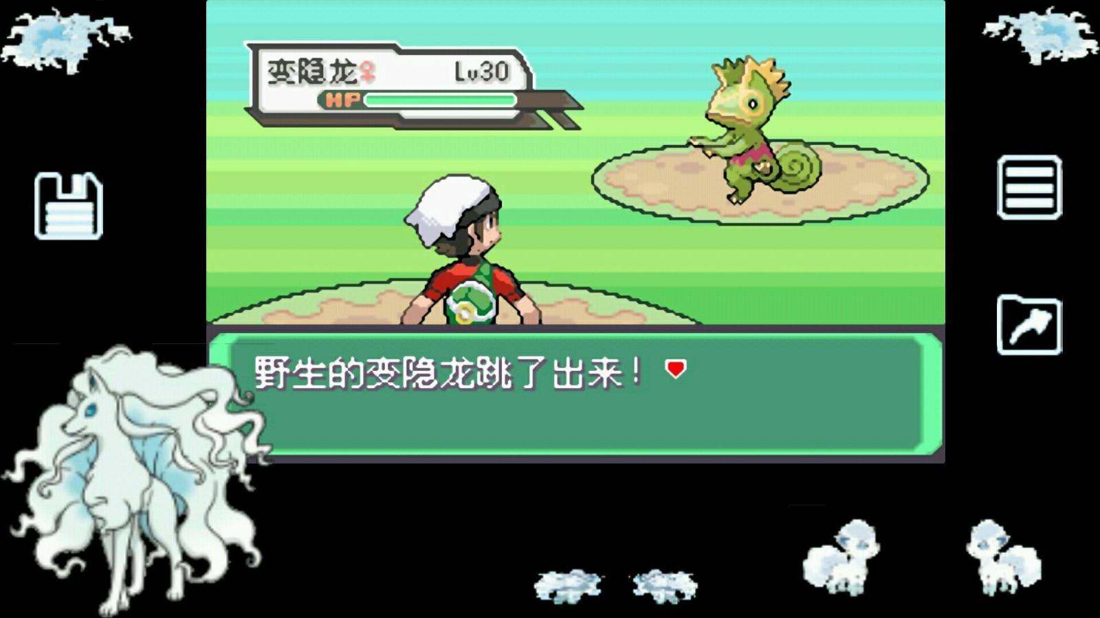 口袋妖怪白金希罗娜怎么打