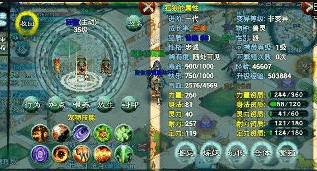 忘仙金铲子怎么那的
