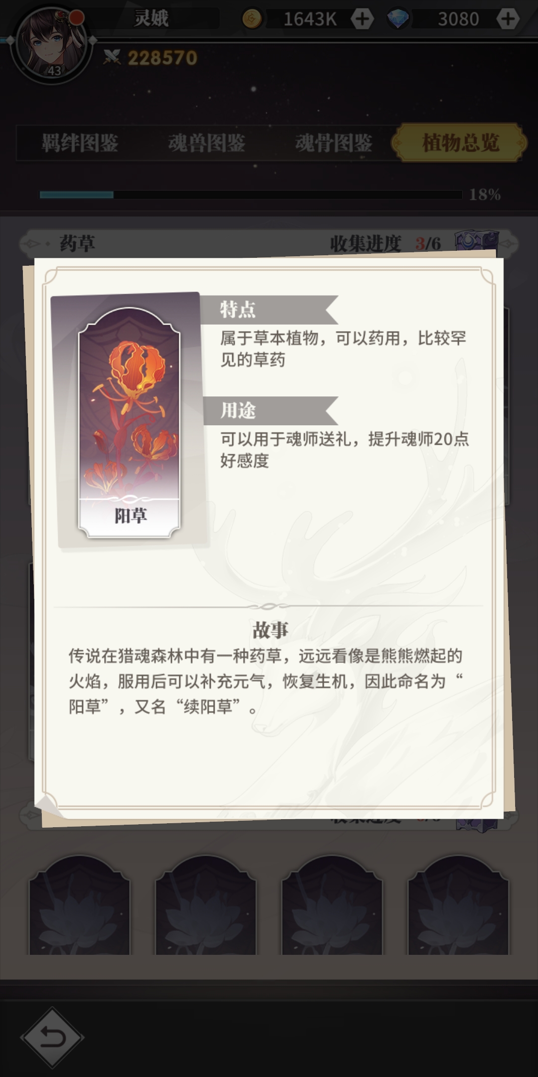 铁姆在斗罗大陆中具体在哪一地