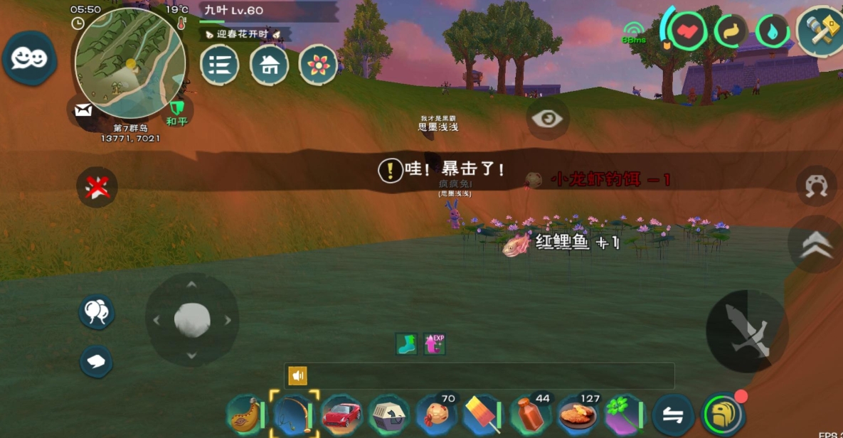 创造与魔法为什么要关注魔法陆行鸟的饮食习惯
