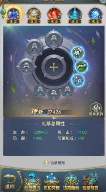 斗罗大陆搭配魂环时对灵猫的特点有何要求