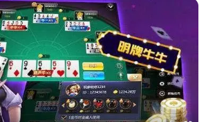 宝石棋牌96188e游戏官网版_截图2