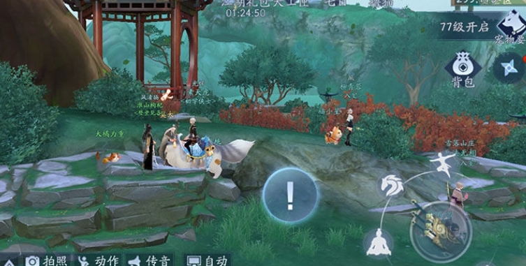 如何在新笑傲江湖70级中选择宠物