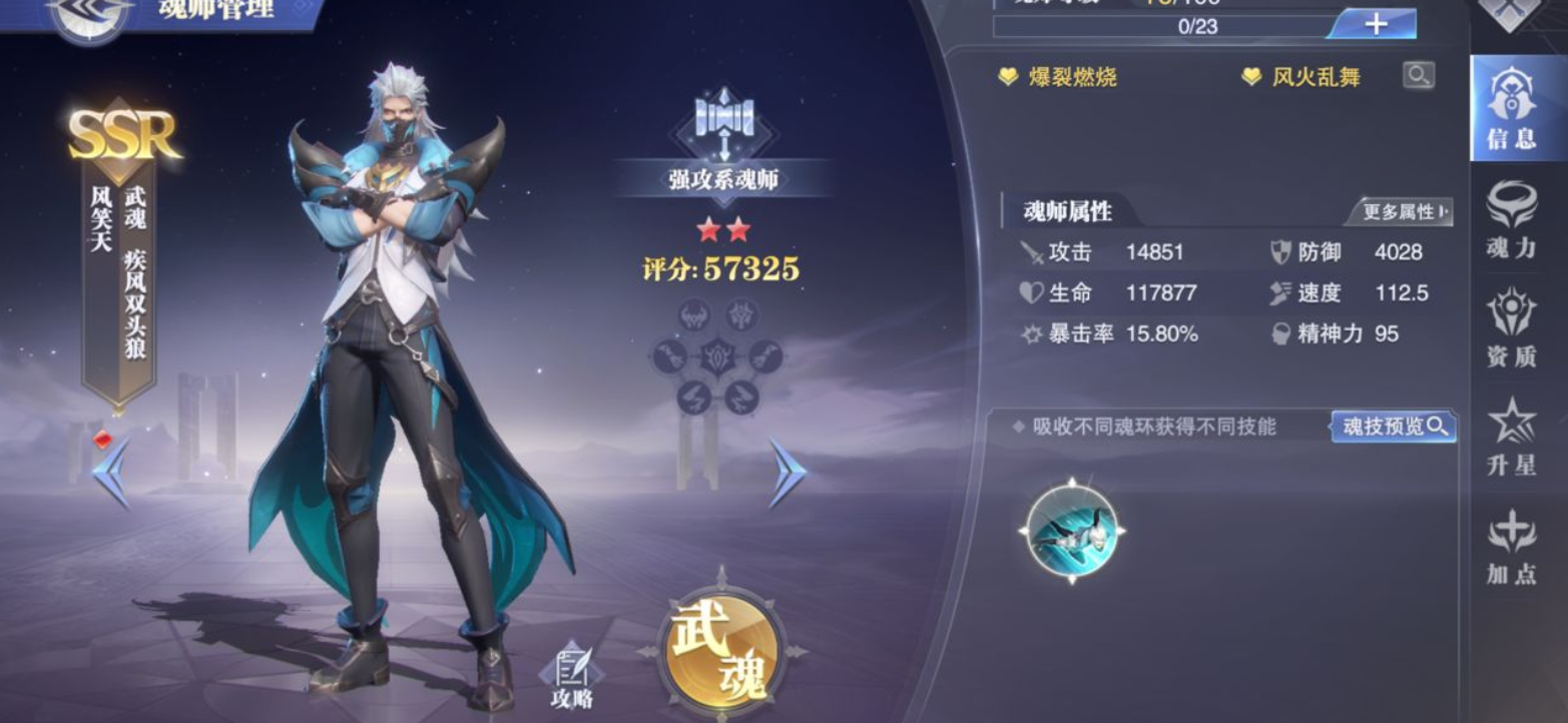 火凤凰阵容在斗罗大陆魂师对决中是否需要特定的装备和魂技