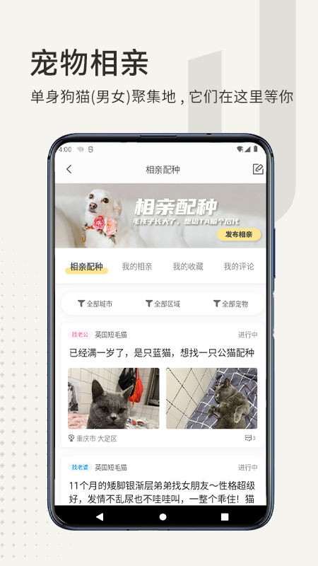 小臭美