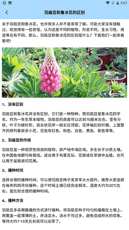 我要开花店
