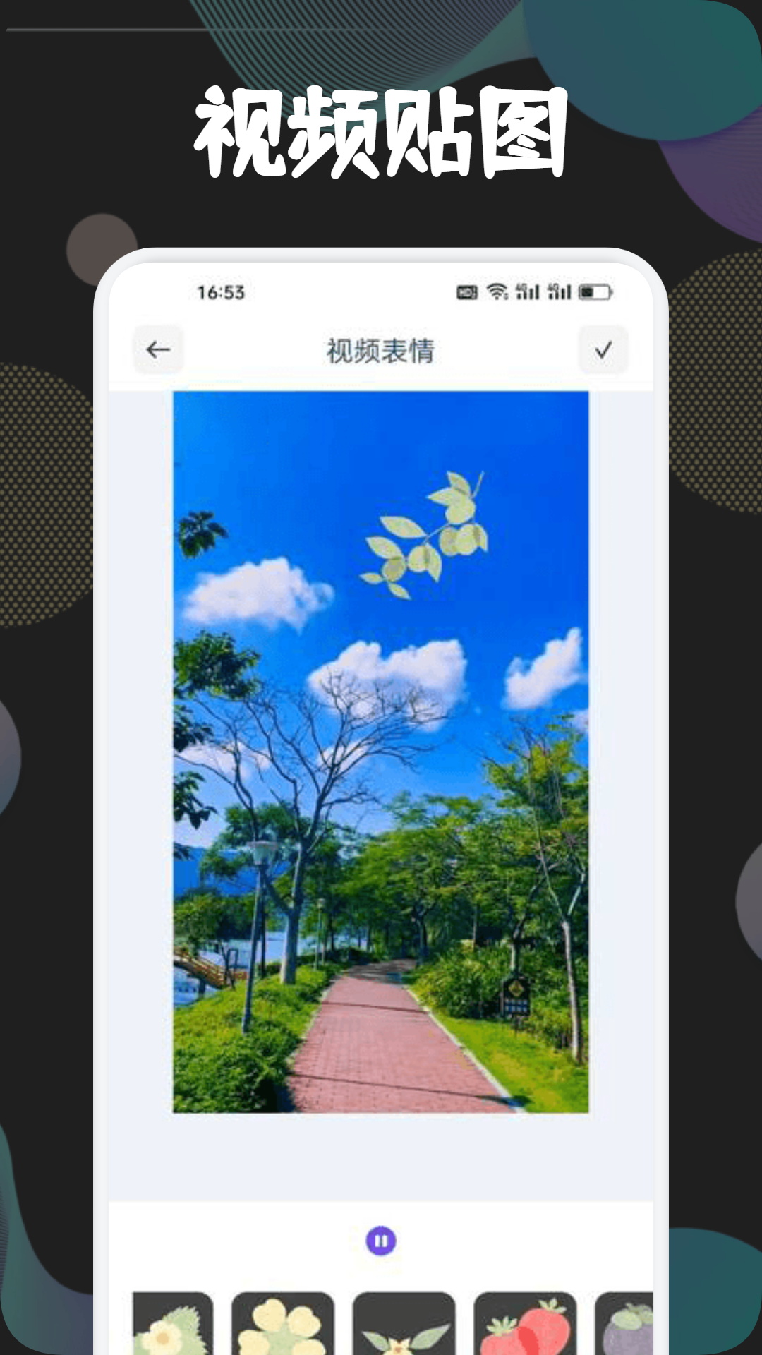 狮子影视投屏_截图1