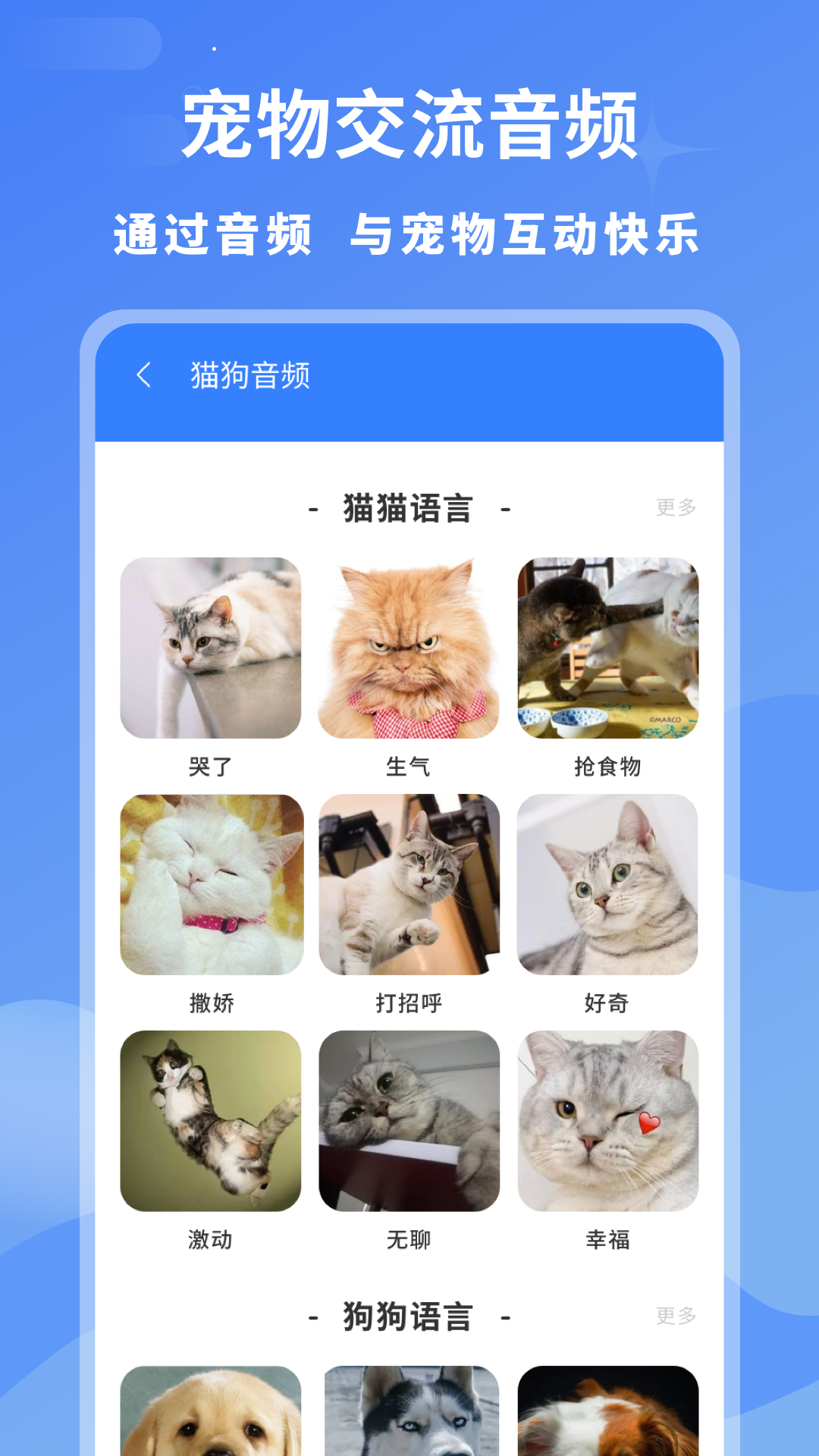 小白交流翻译