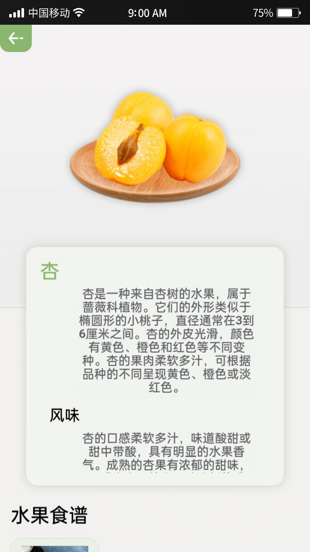指尖果园