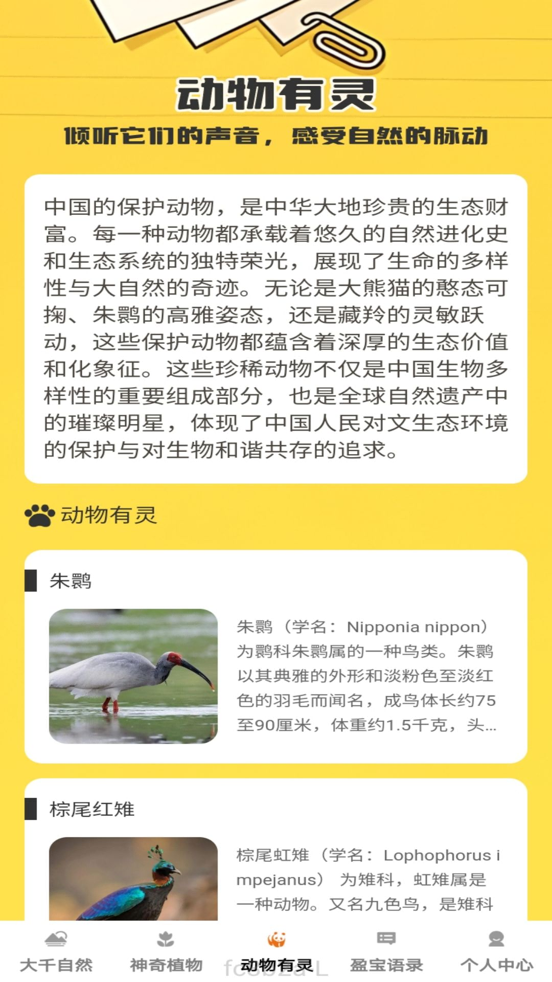 盈宝多多