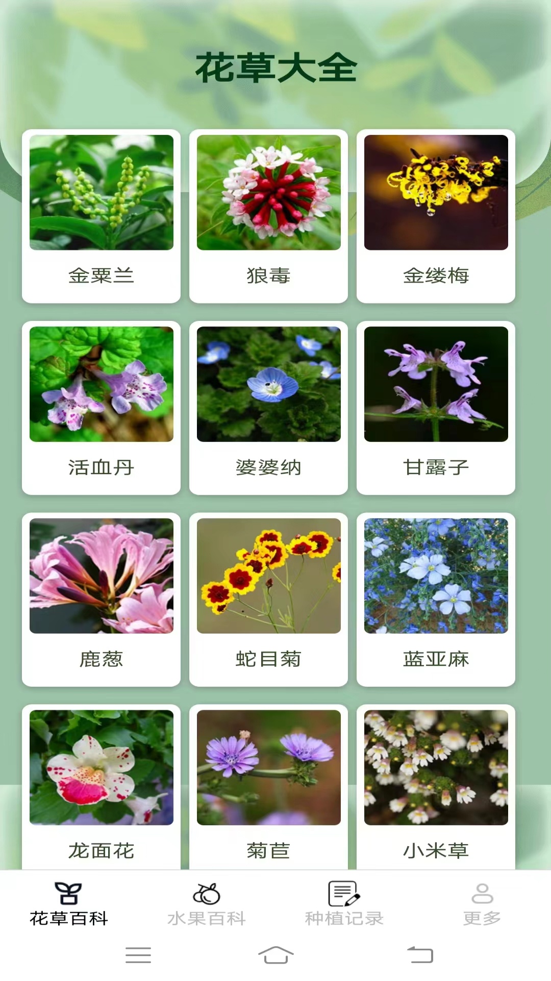 妙手花园