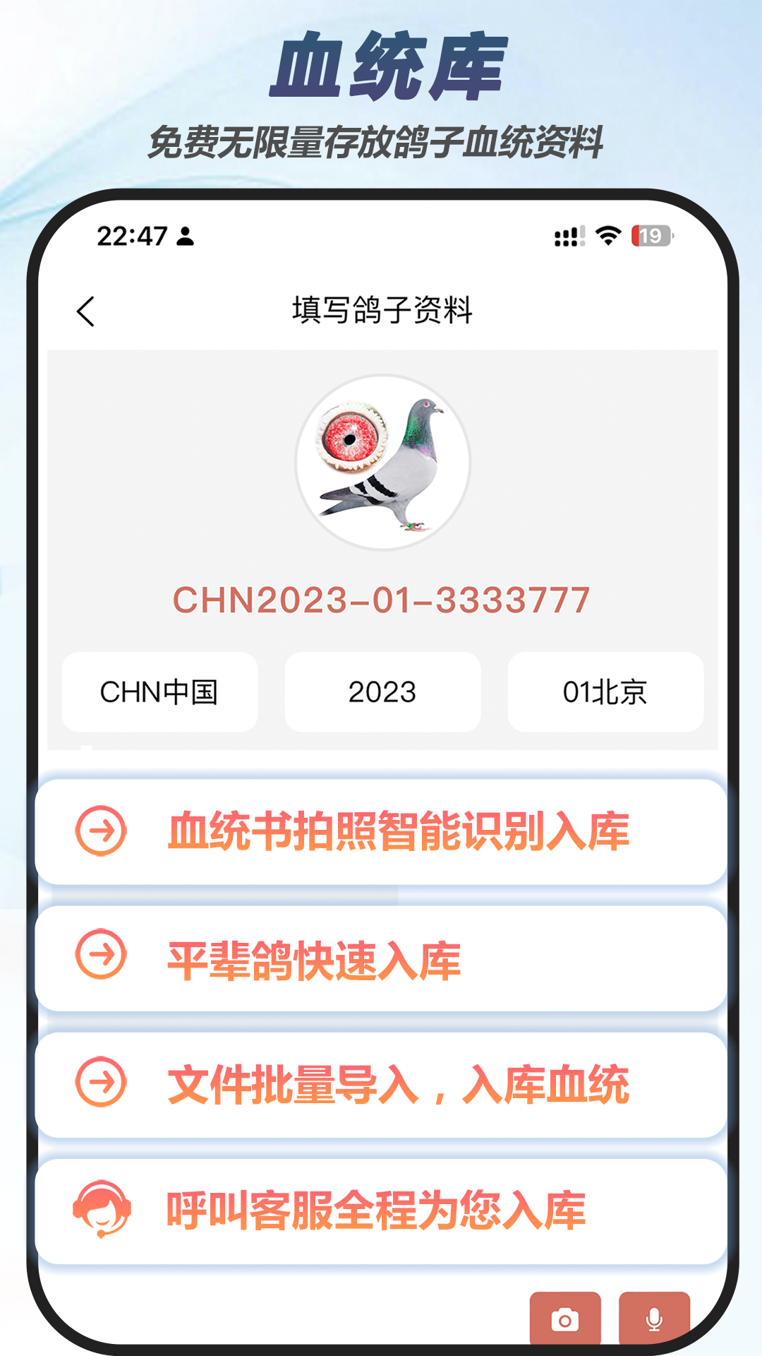 赛鸽云