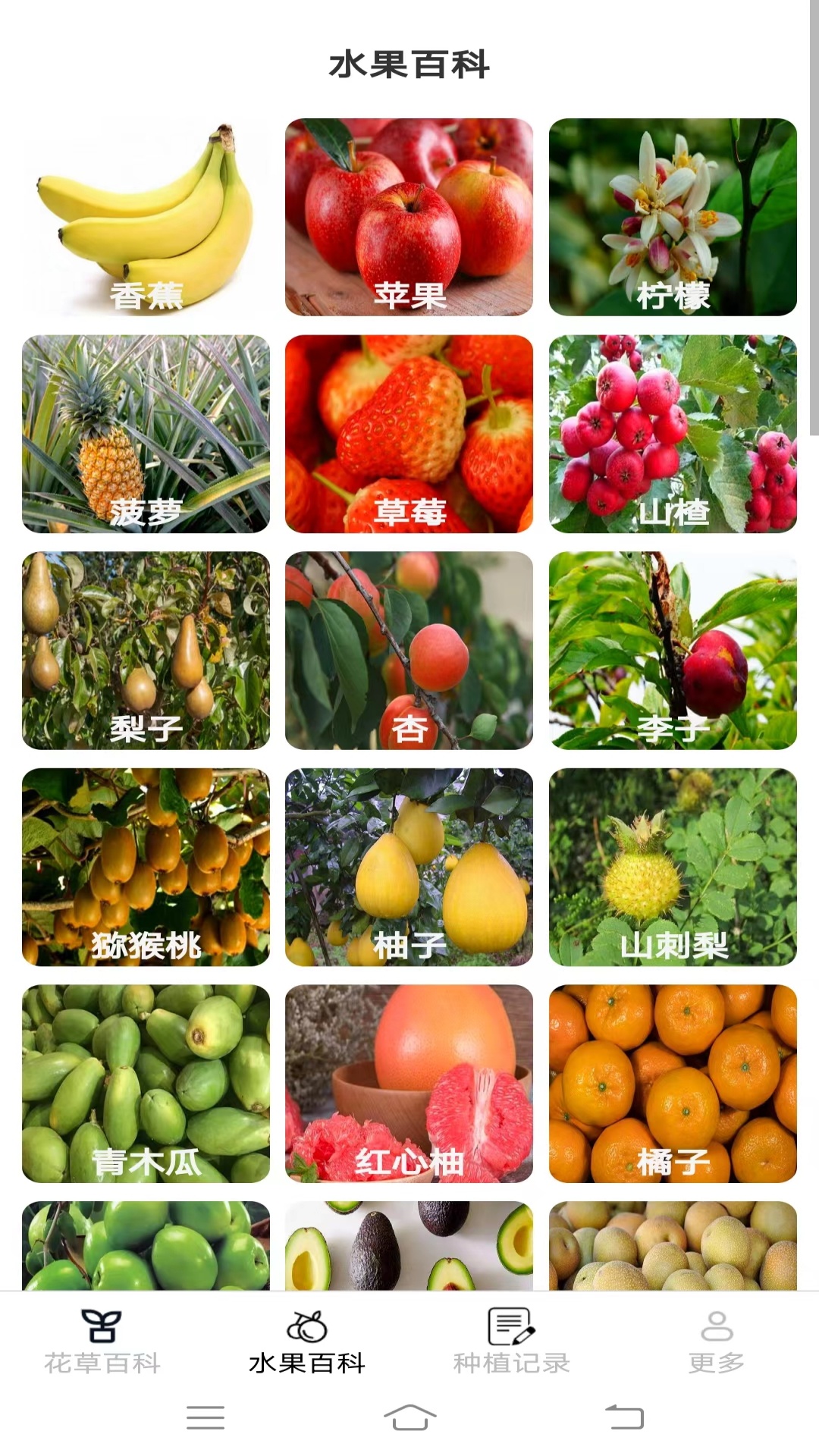 妙手花园