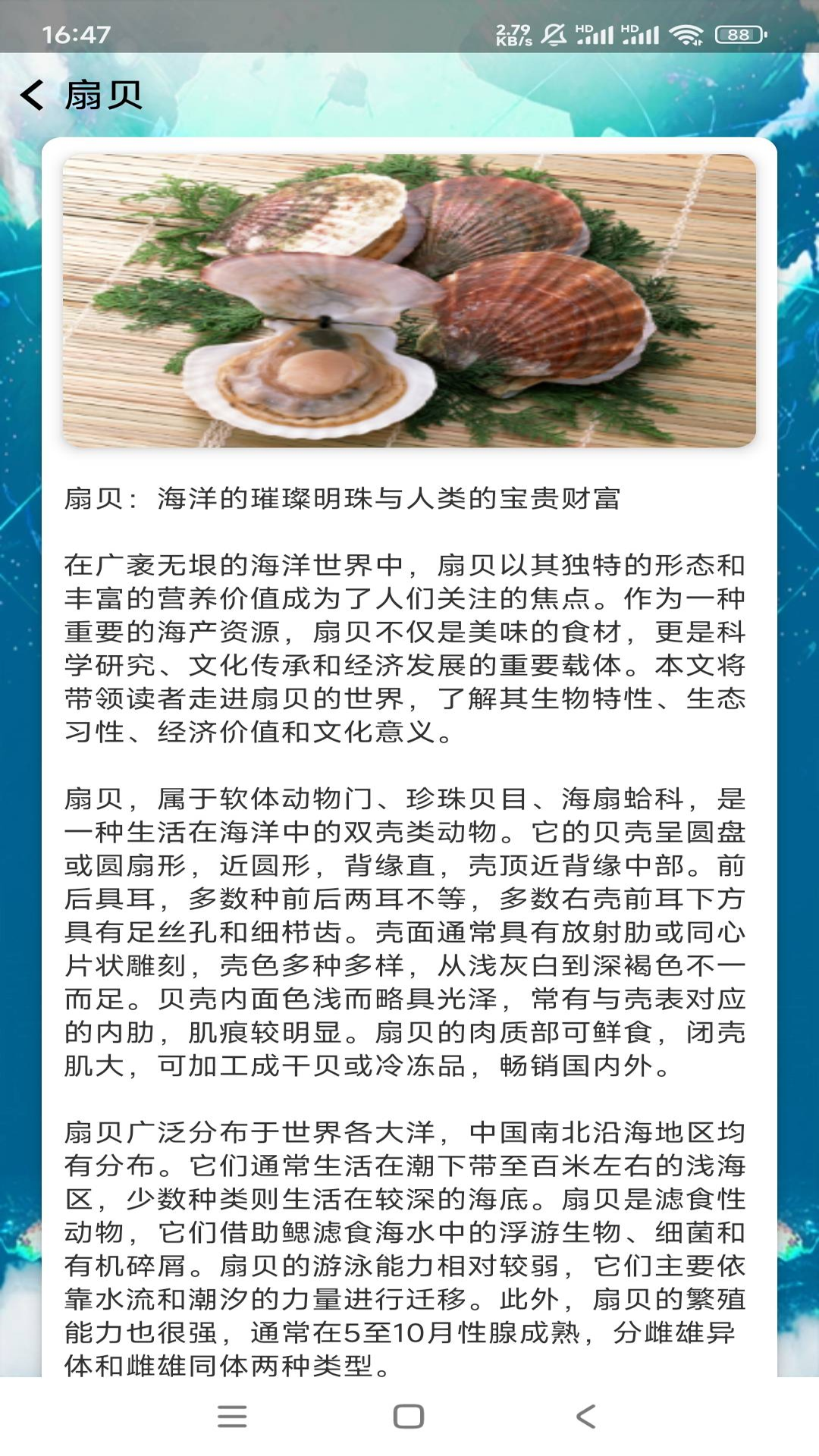 悠然鱼语