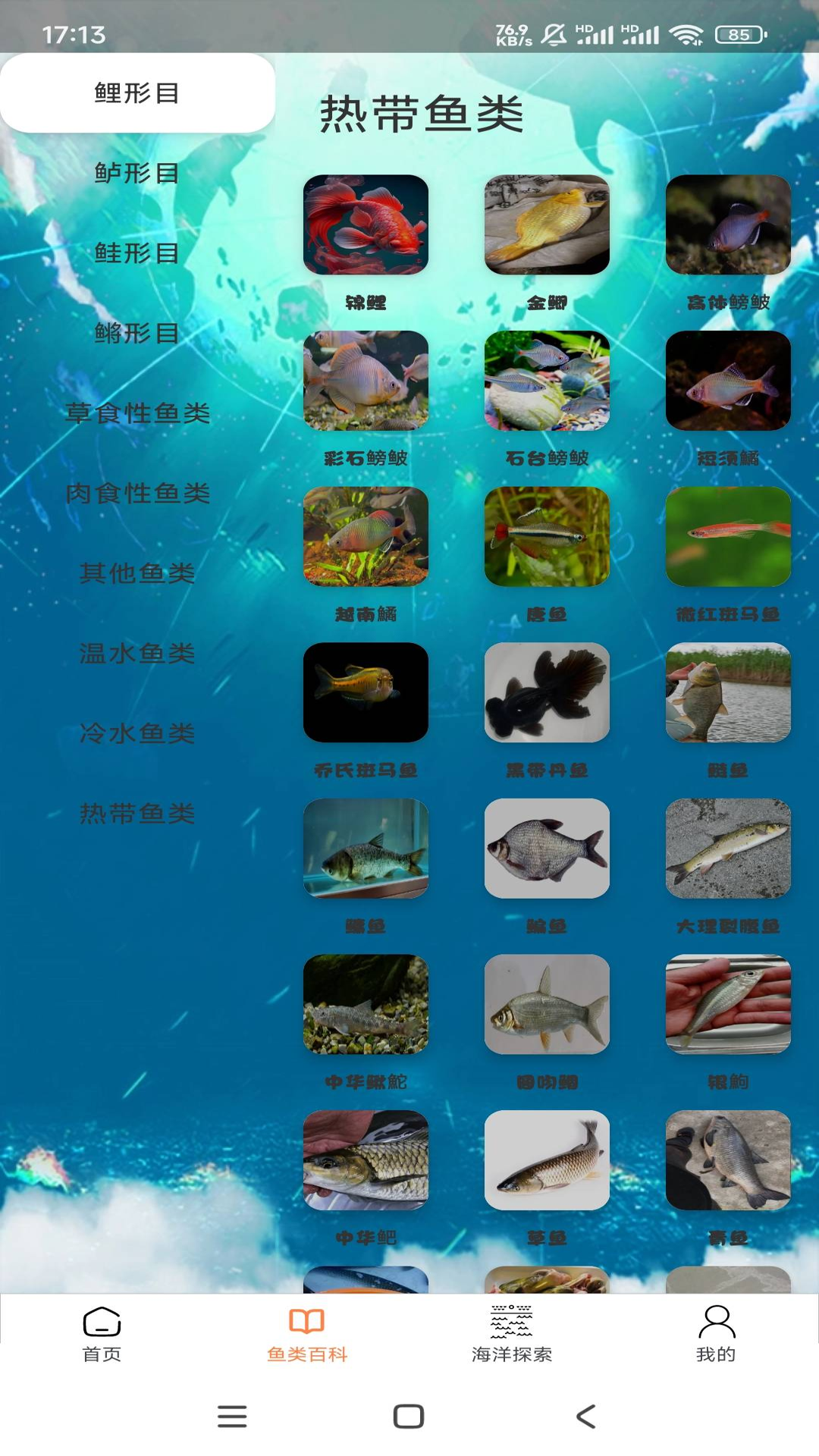 悠然鱼语