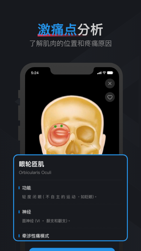 肌肉激痛点图谱_截图5