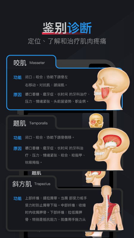 肌肉激痛点图谱_截图2