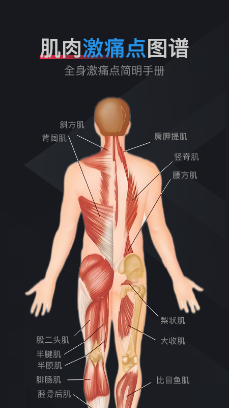 肌肉激痛点图谱_截图1