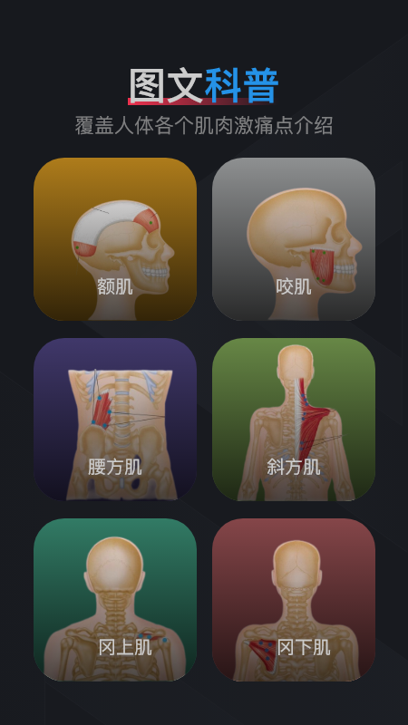 肌肉激痛点图谱_截图3