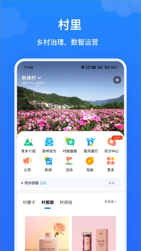 飞村