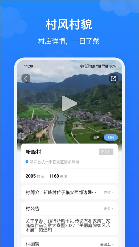 飞村