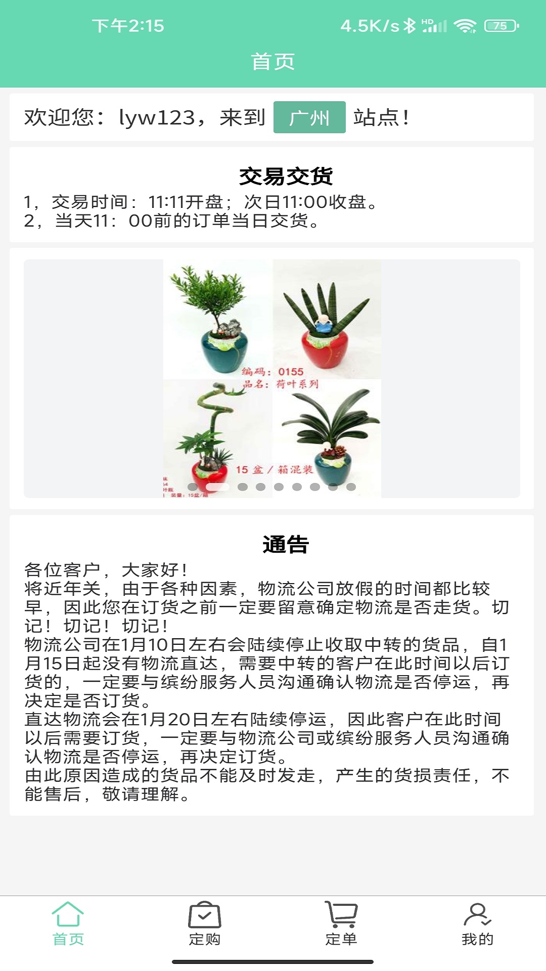 缤纷盆栽