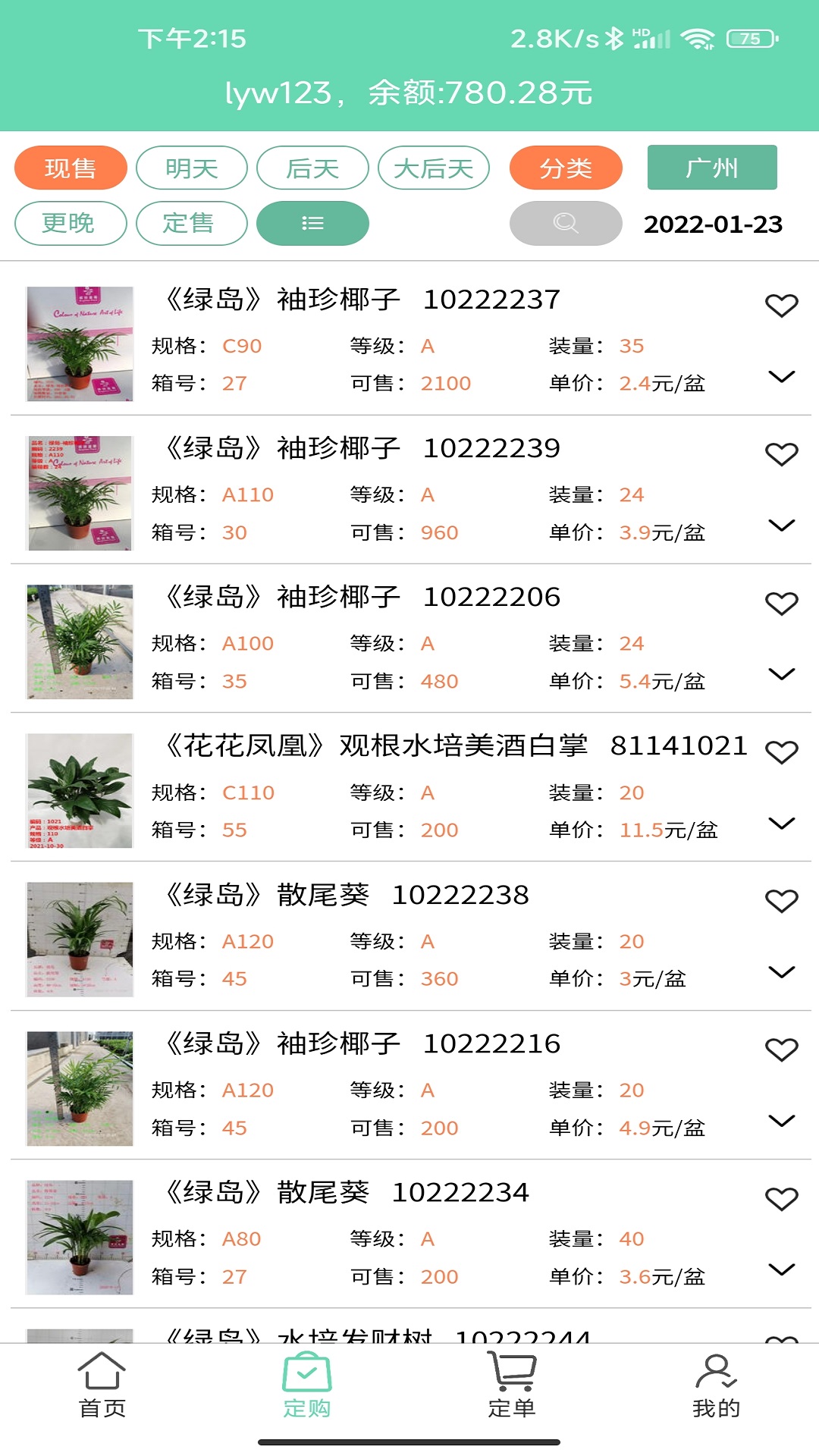 缤纷盆栽