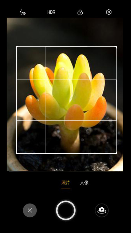花草识别软件