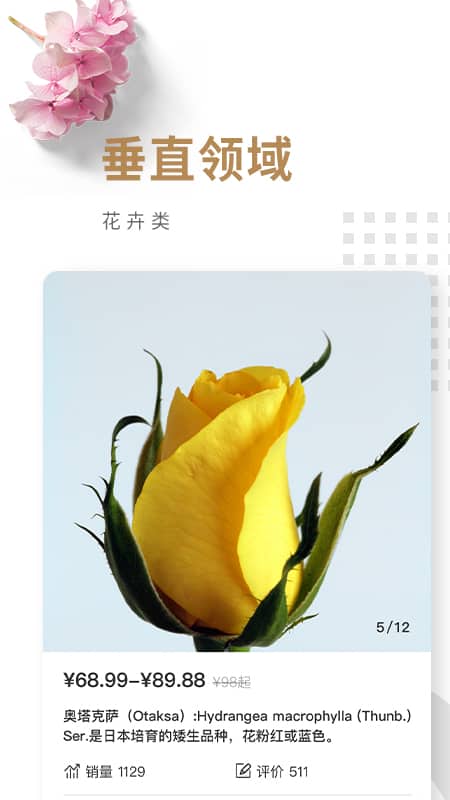 花商荟
