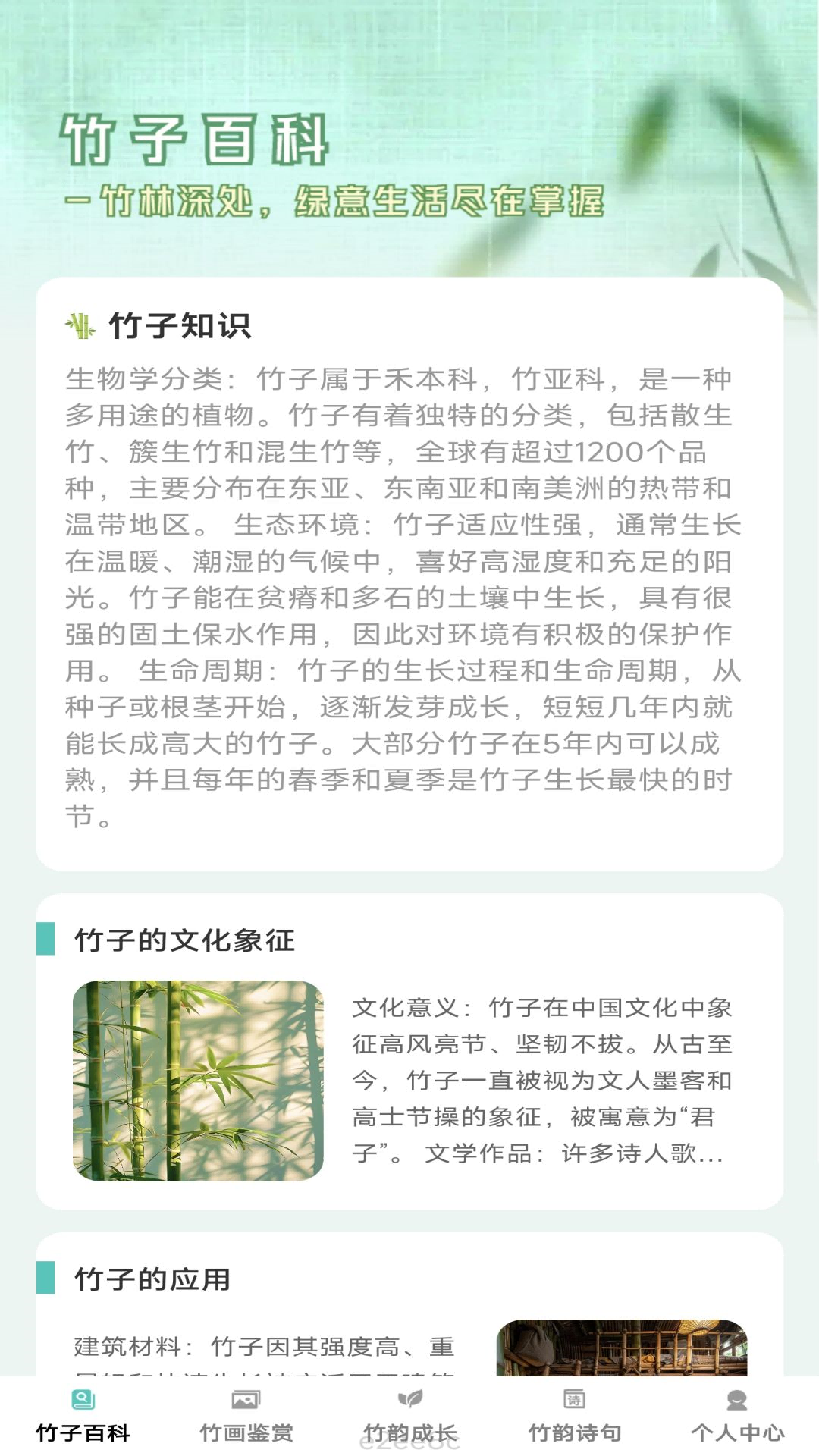 竹韵趣看