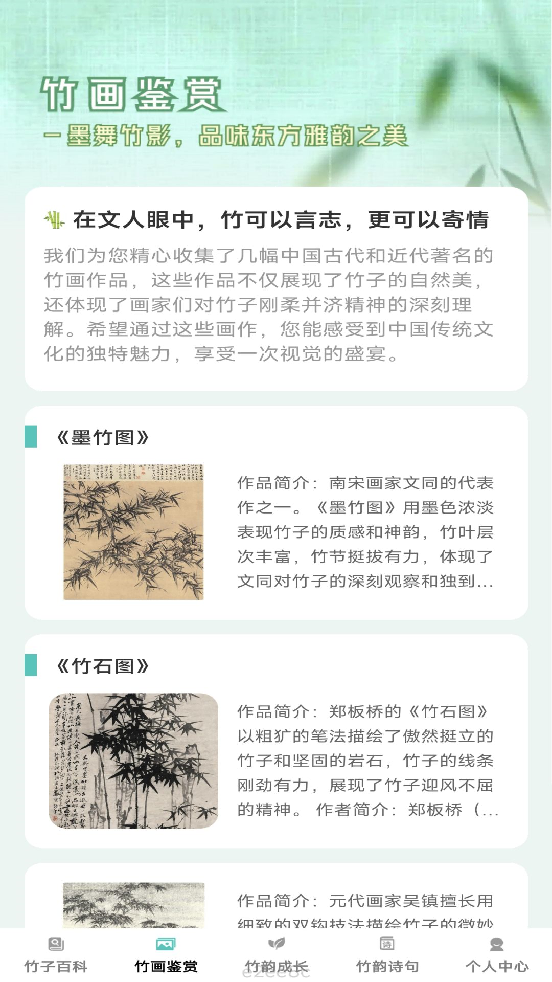 竹韵趣看