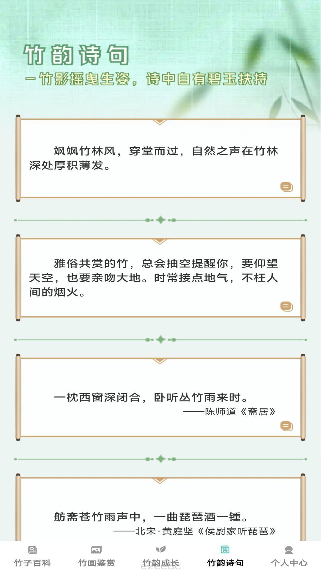 竹韵趣看