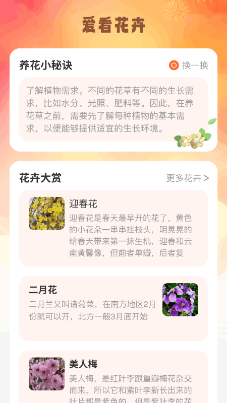 好运爱看