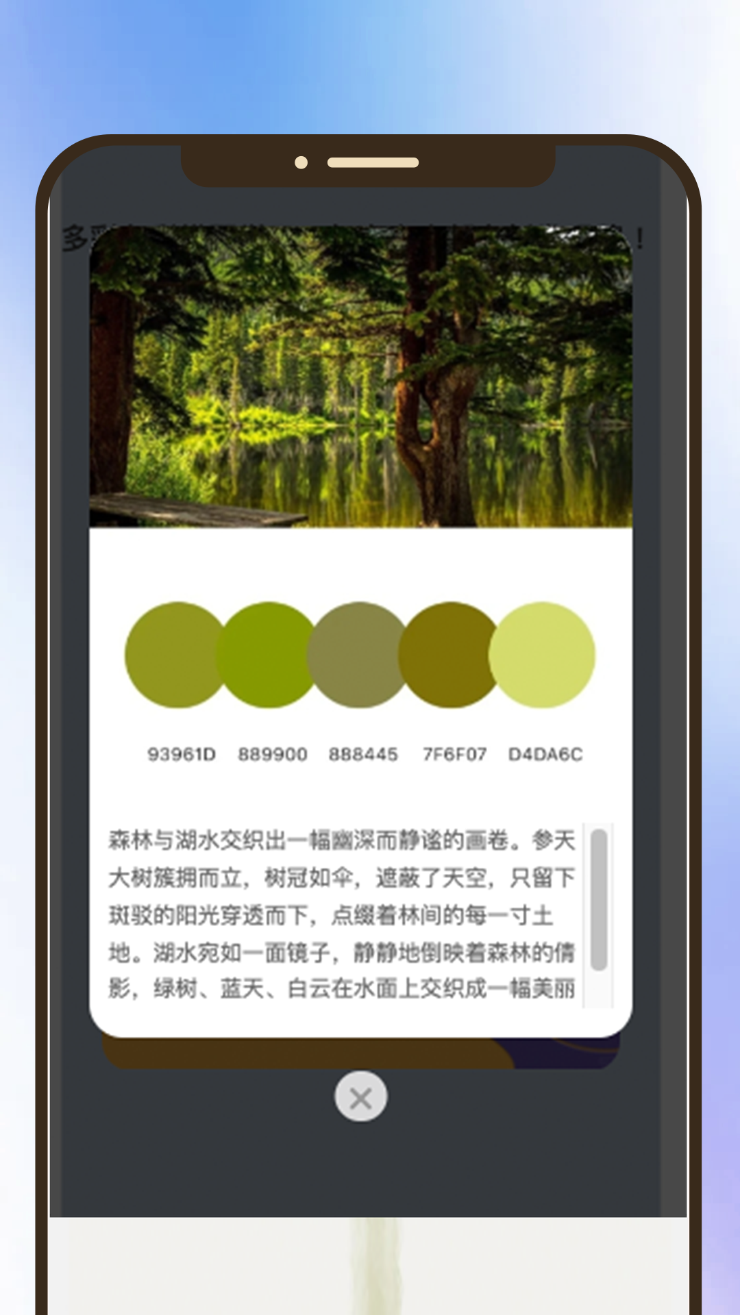 绮丽时光