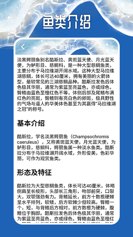 天天钓鱼