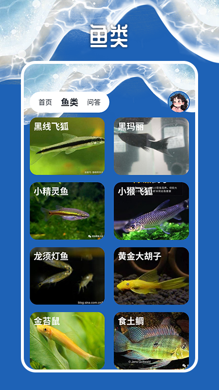 天天钓鱼