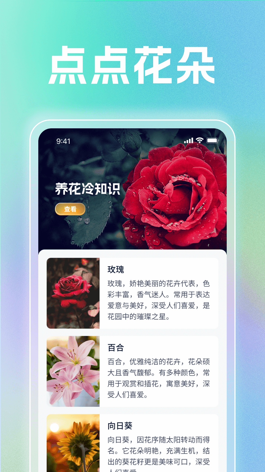 玲龙点点