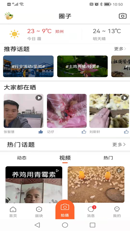 鸡病专业网论坛_截图3