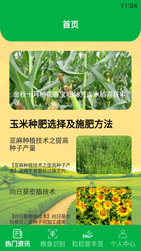 有机菜市场