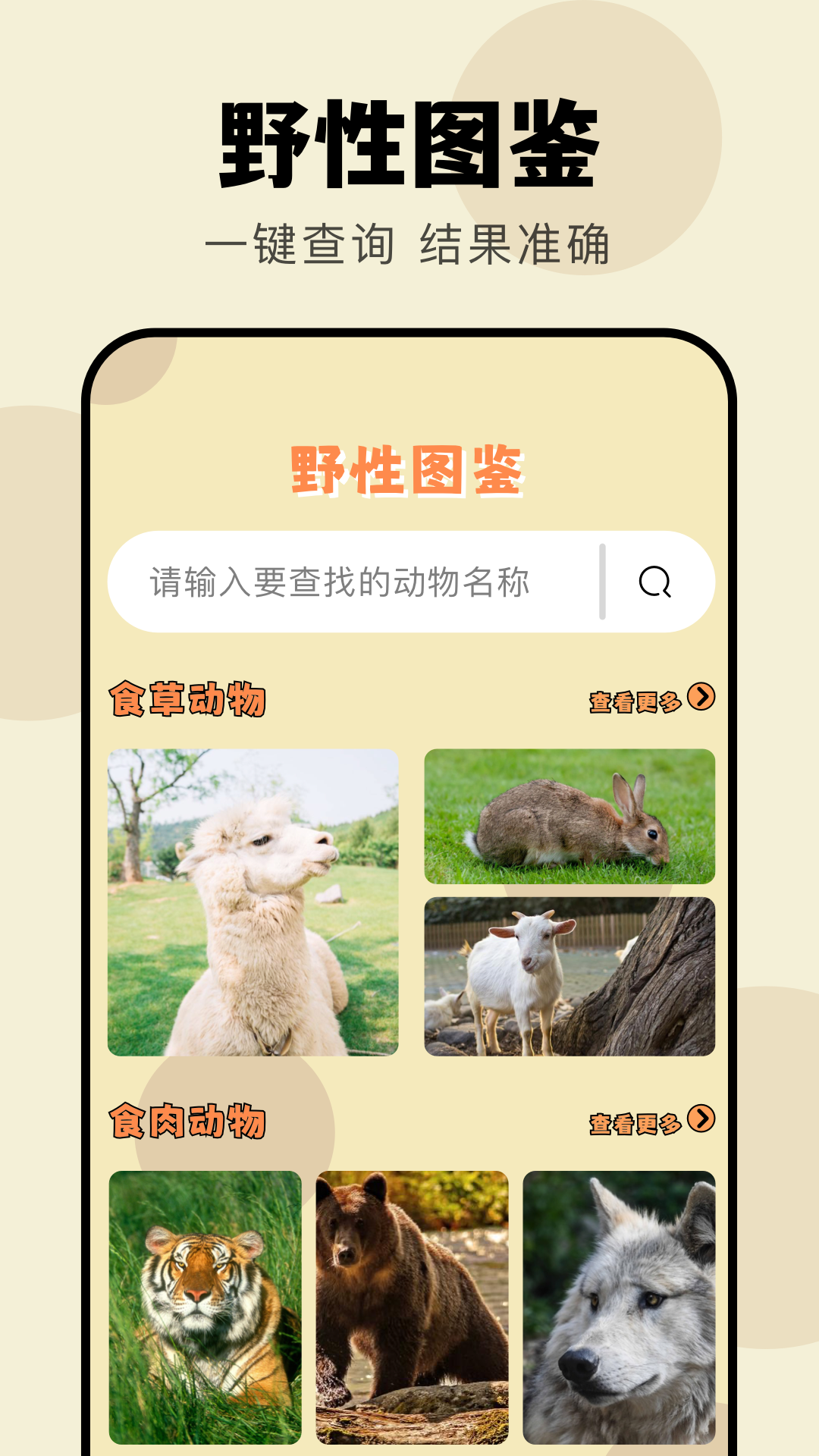 4133乐园
