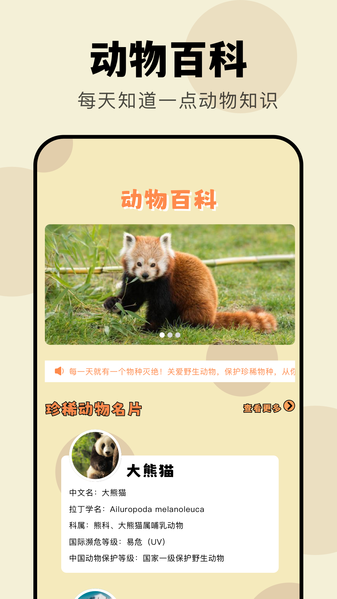 4133乐园